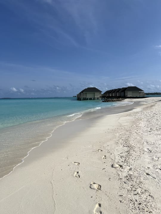 Strand Summer Island Maldives