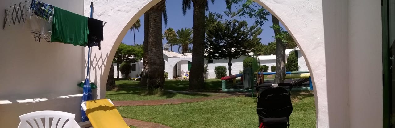 Canary Garden Club Canary Garden Club