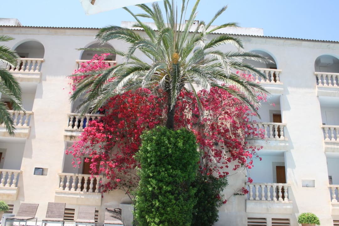 Pool Es Bauló Petit Hotel