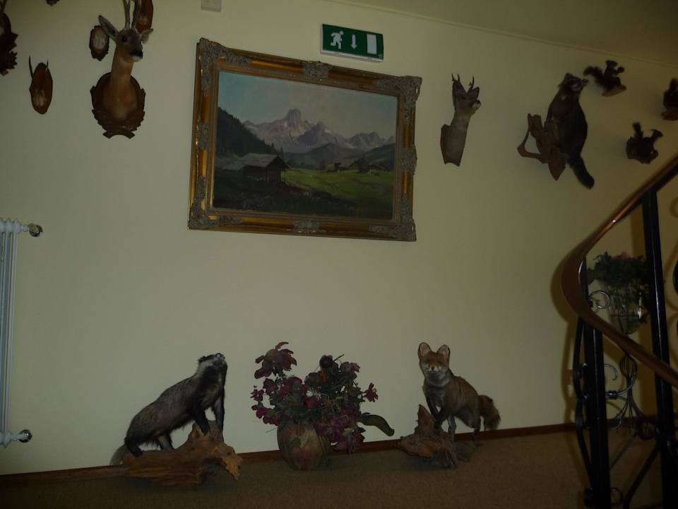 Flurbereich Pension Haus Alpina