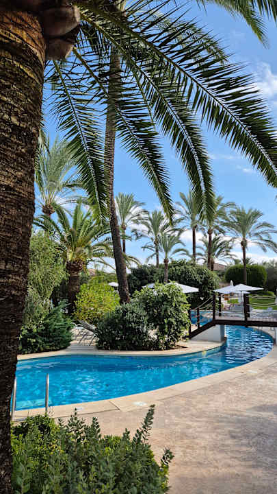 Pool Prinsotel La Dorada