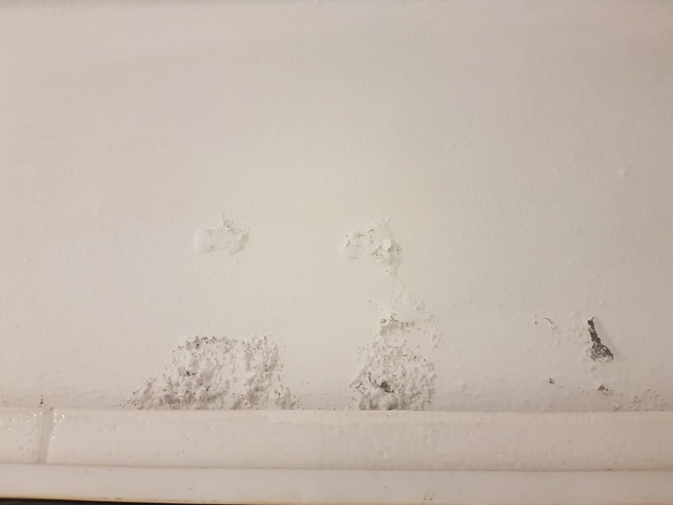 Zimmer Hotel Viva Dominicus Beach by Wyndham - All Inclusive Resort