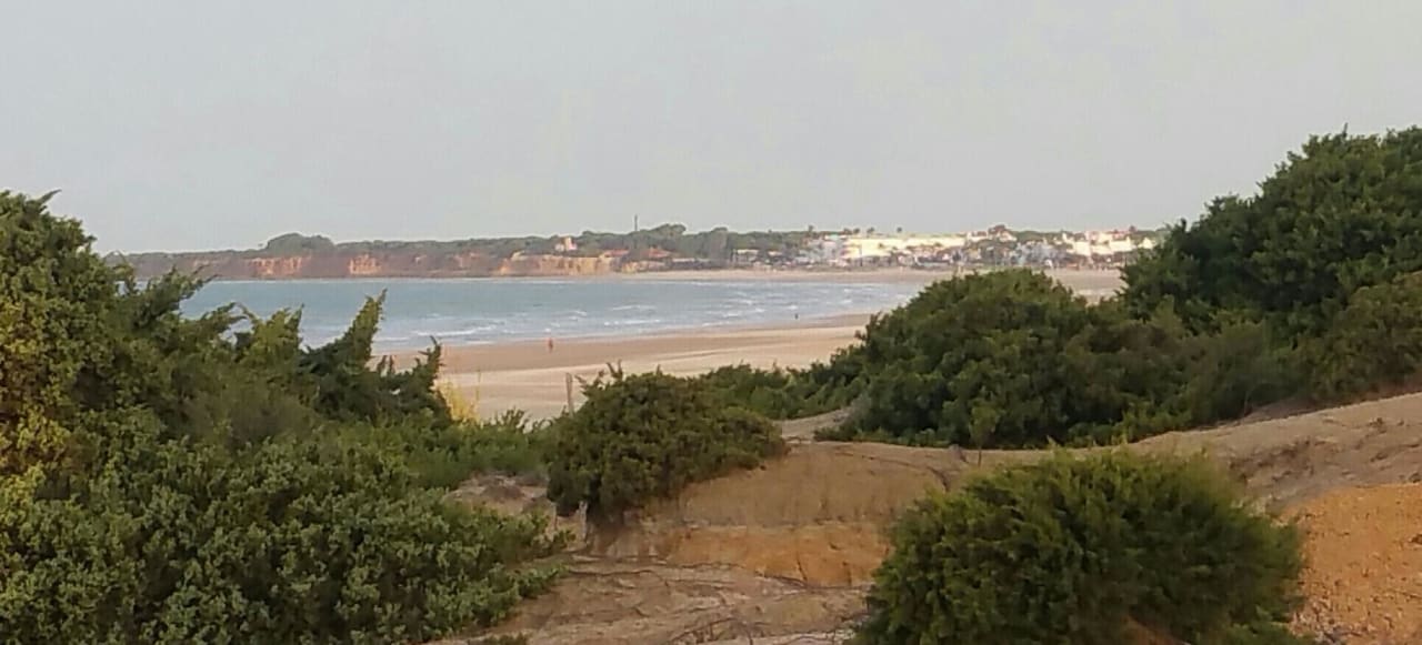 Blick Richtung Sankti Petri  Hipotels Playa la Barrosa