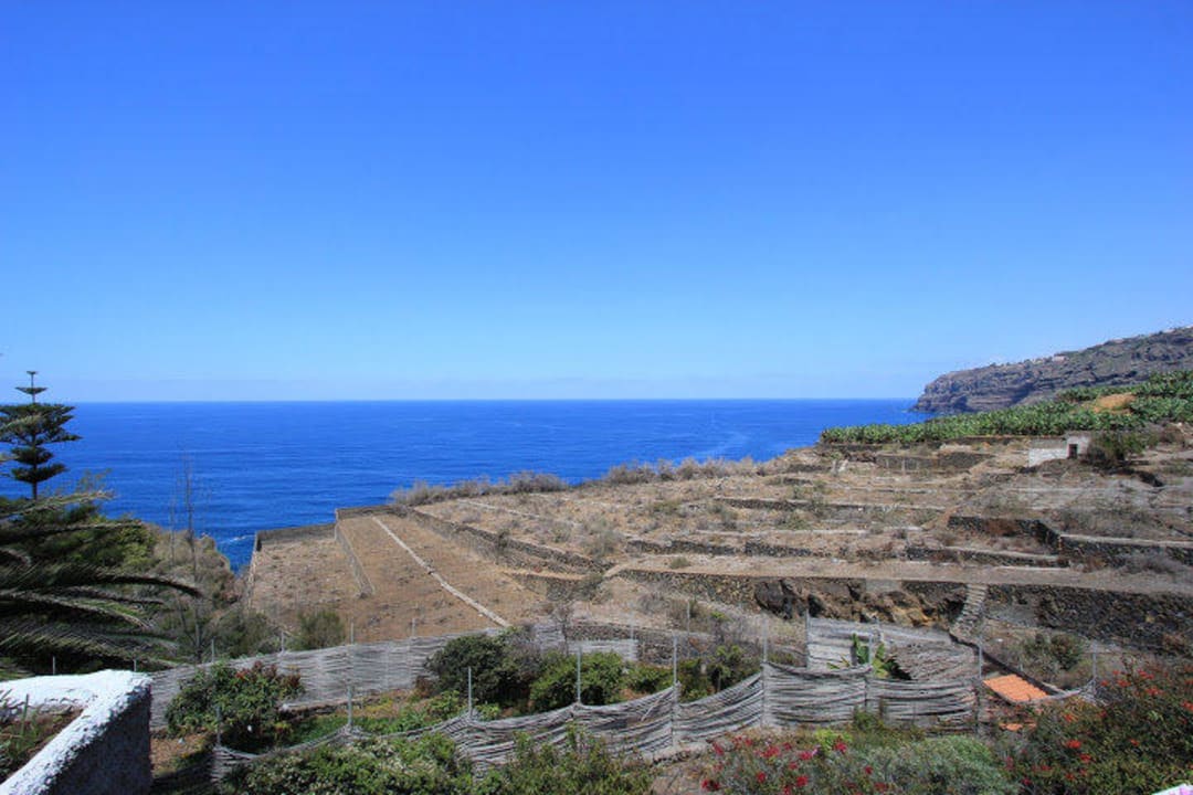 Ausblick Großes Apartment 7 Finca El Rincon