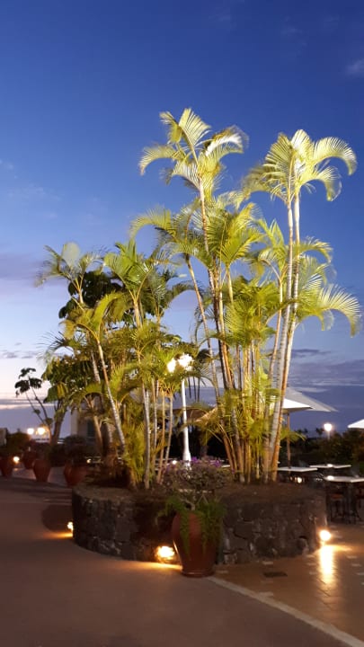 Gartenanlage Coral La Quinta Park Suites