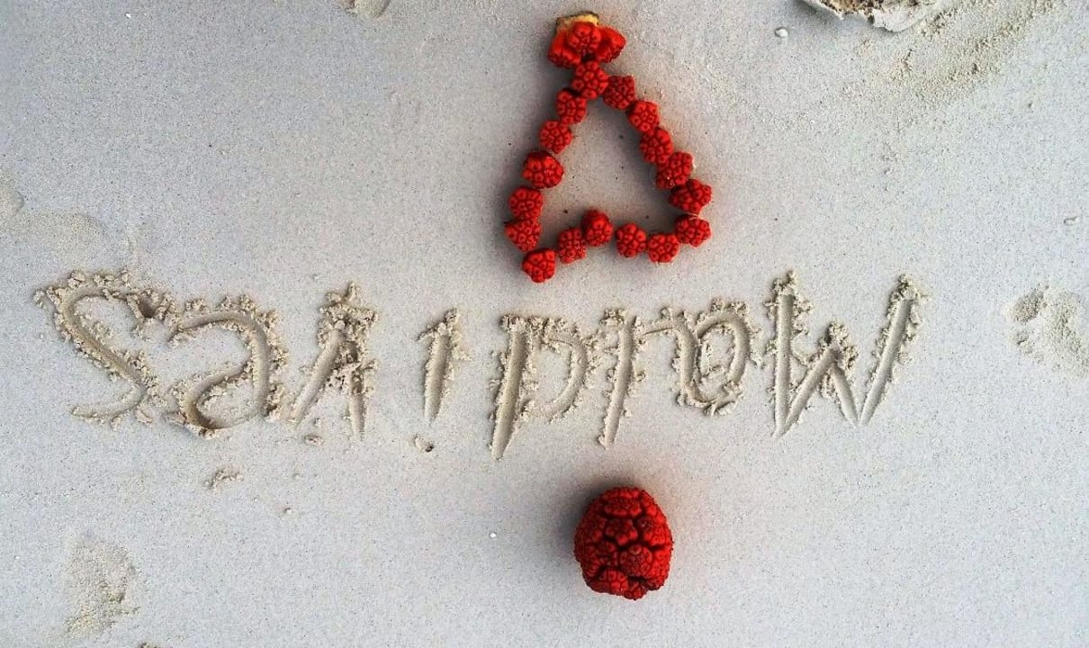 Мальдивы любовь Vilamendhoo Island Resort & Spa