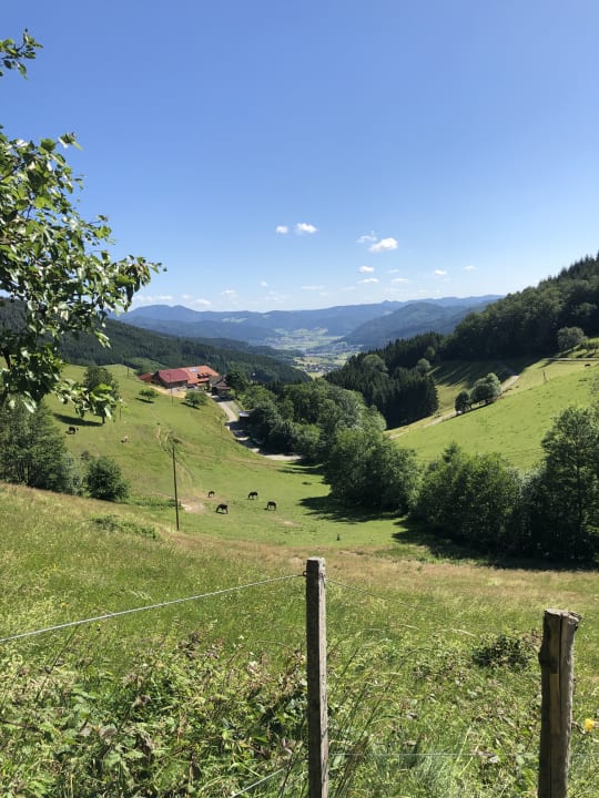 Ausblick Alt-Rufenhof