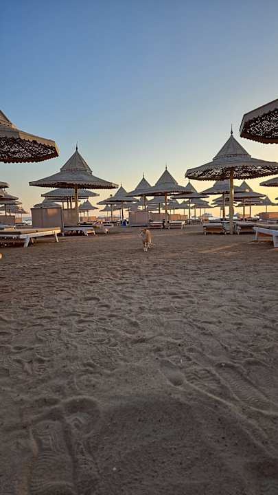 Strand The Grand Hotel Hurghada