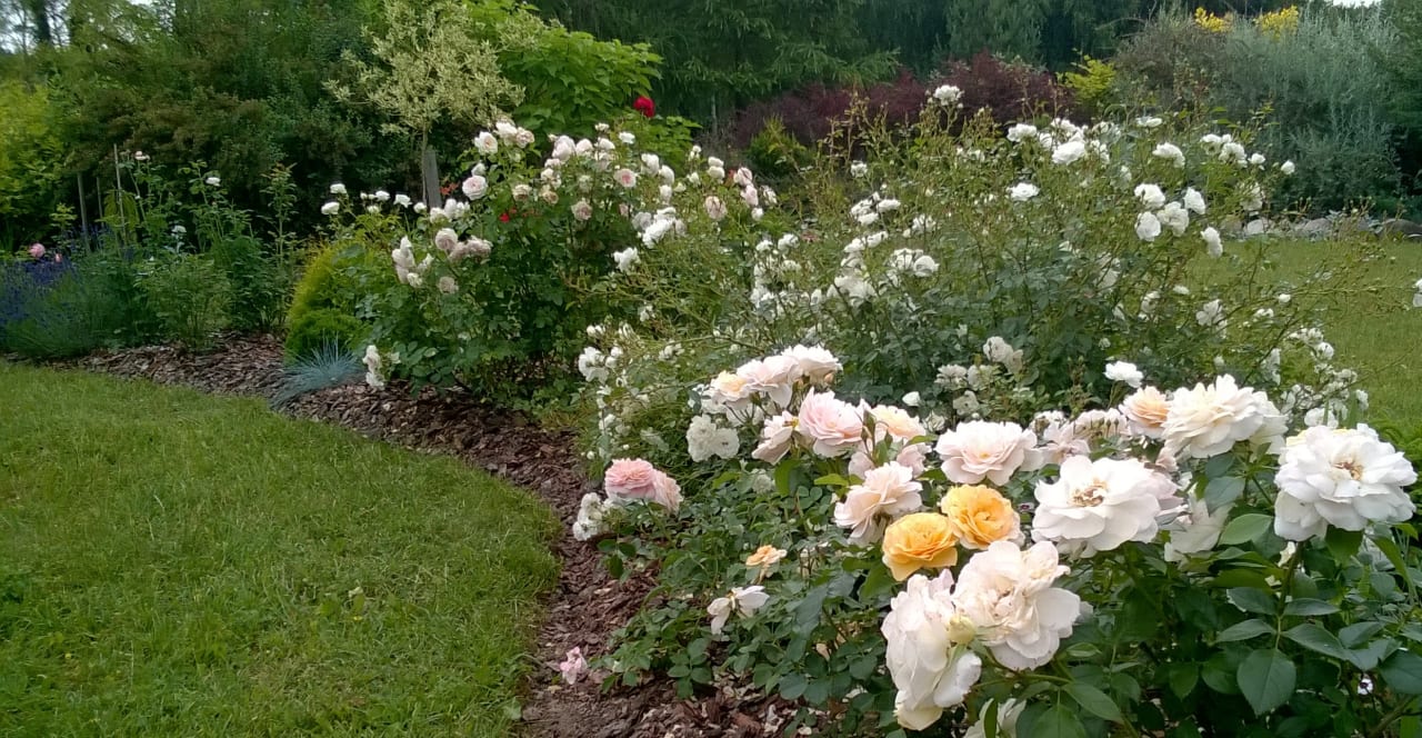 Gartenanlage Siedlisko Orlik - Villa Orlik