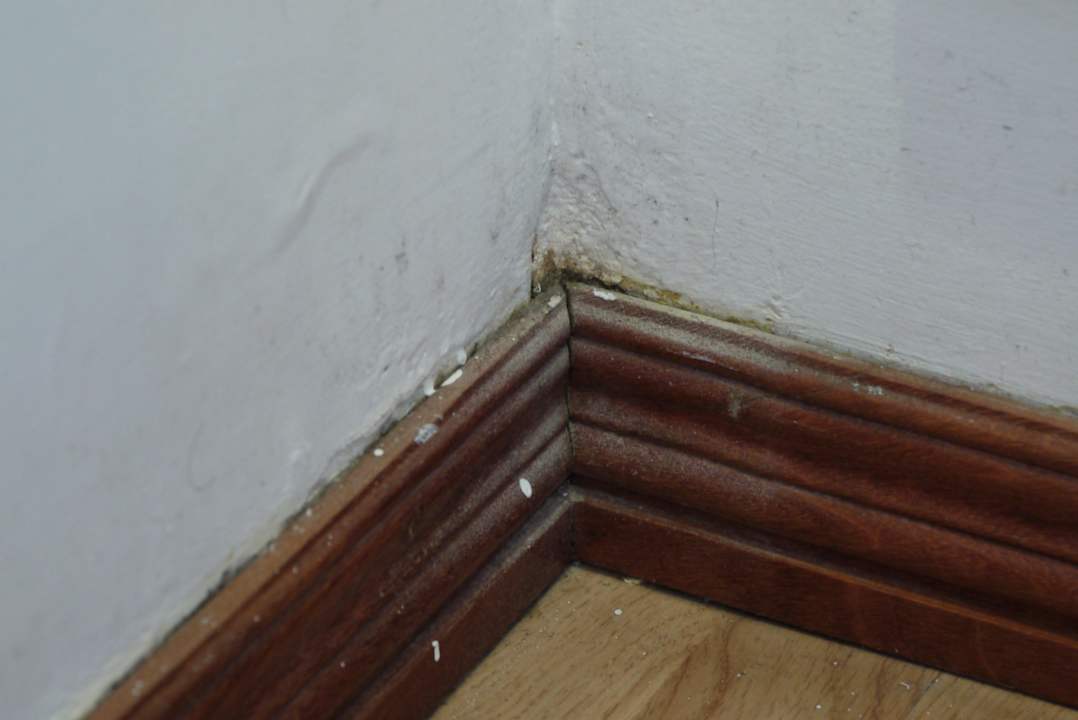 Mould in corner of room Hotel Thaison Palace