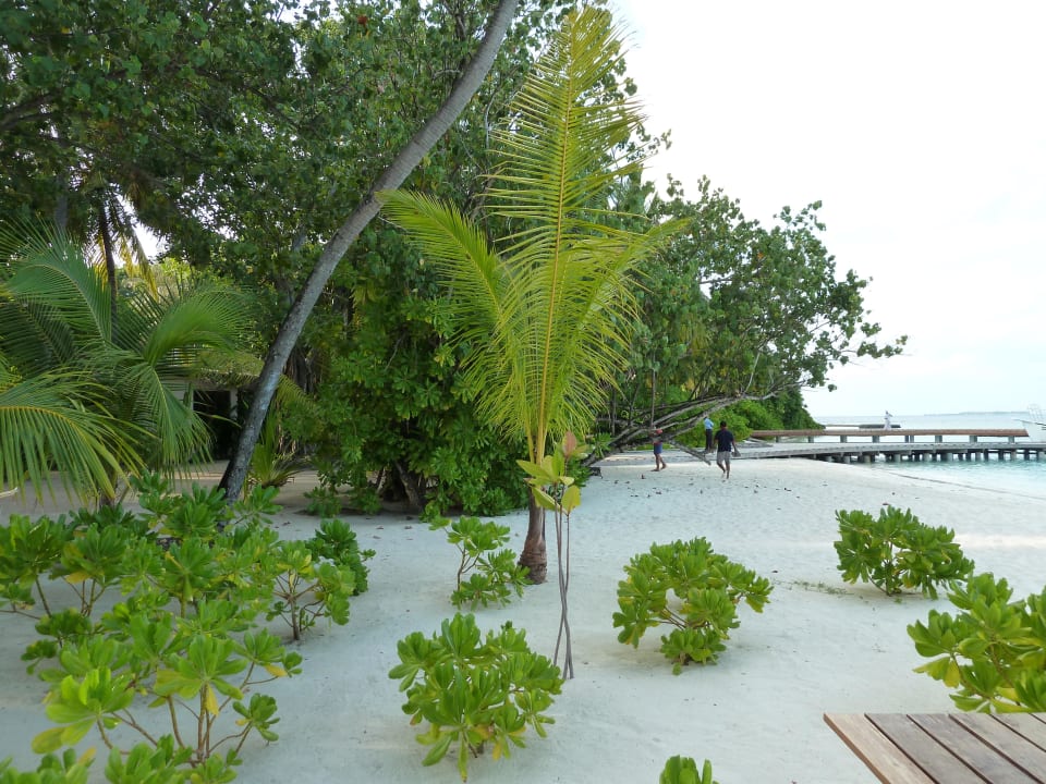 Strand vor dem ECO Centre Kuramathi Maldives