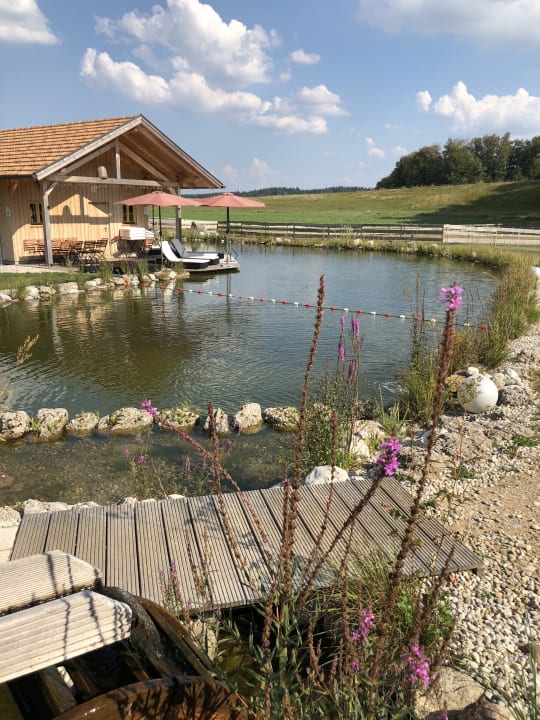 Pool Staller Ferienhof