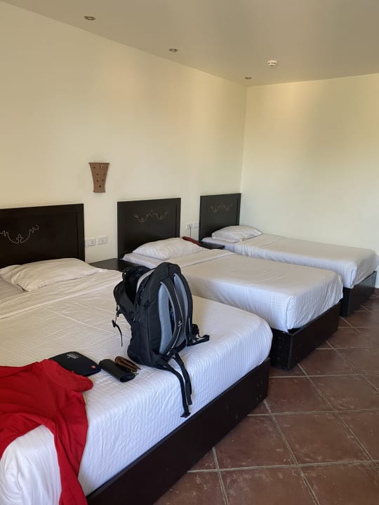 Zimmer Three Corners Sea Beach Resort