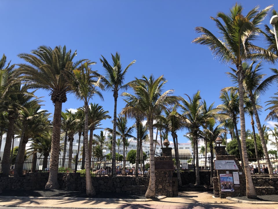 Ausblick Hipotels La Geria