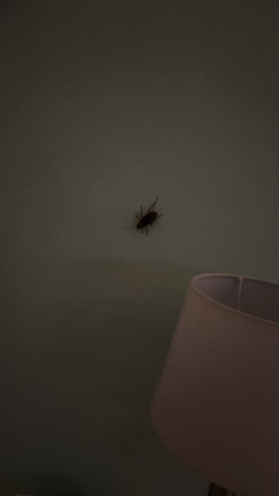 Zimmer Iberostar Waves Punta Cana