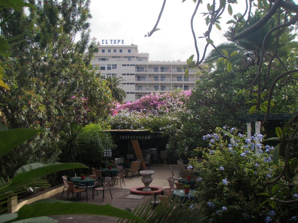 Blick aus den Orchideengarten auf die Rückseit zu  Hotel Atlantic El Tope