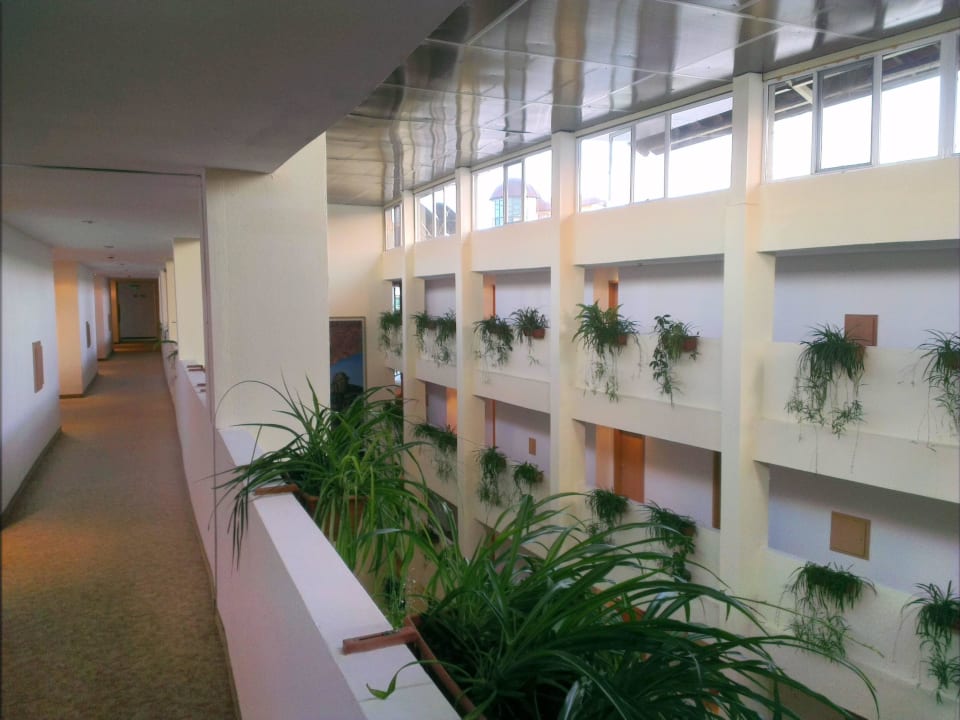 Hotel Hotel Mena Palace