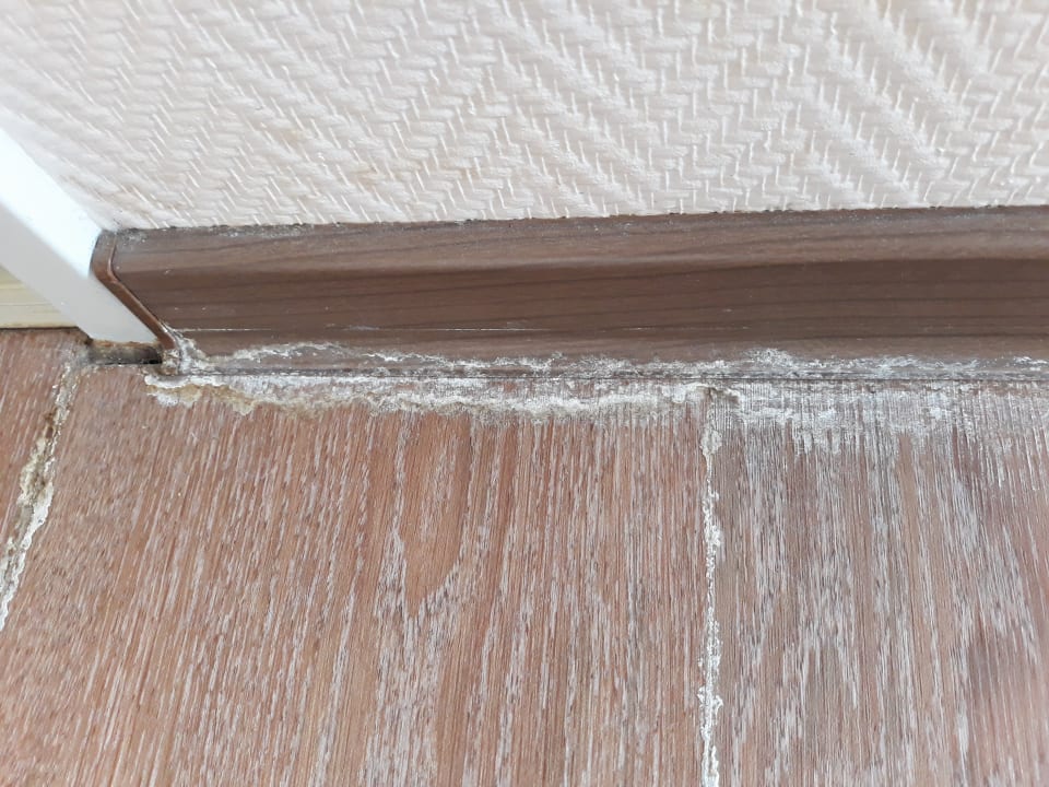 Zimmer PLAZA INN Hamburg Moorfleet