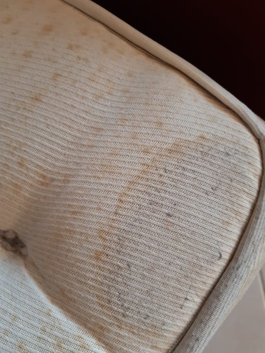 Zimmer allsun App.-Hotel Albatros