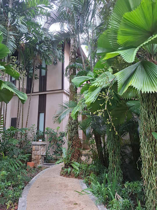 Zimmer Hotel Pimalai Resort & Spa