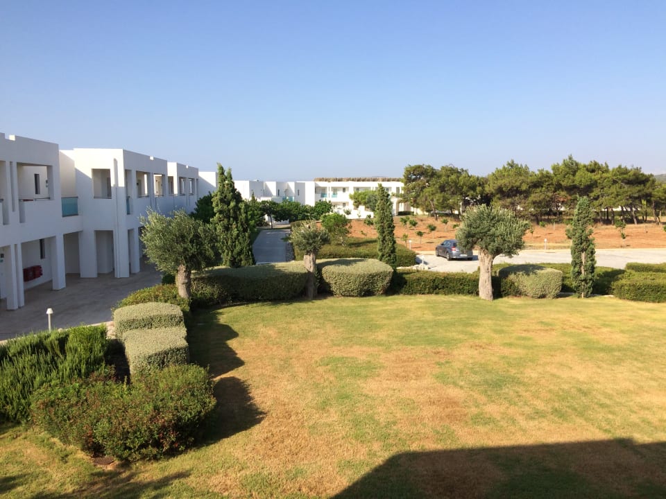 Sonstiges Atlantica Plimmiri