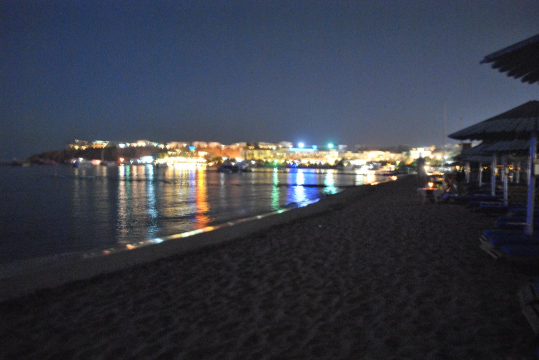 Strand bei Nacht  Ghazala Gardens