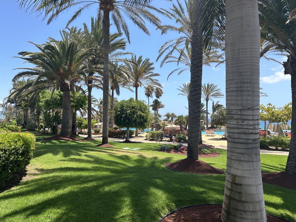 Gartenanlage R2 Pajara Beach