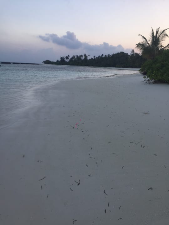 Strand Kuredu Island Resort & Spa