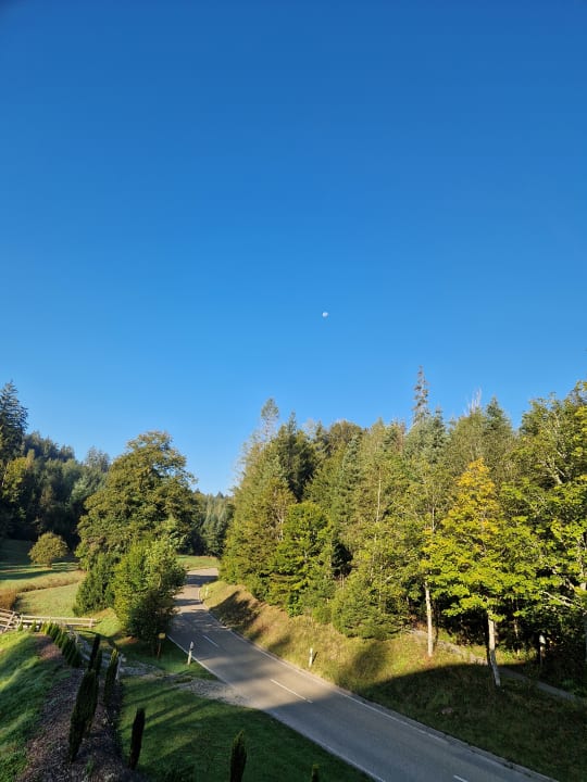 Ausblick Nationalpark - Hotel Waldsägmühle