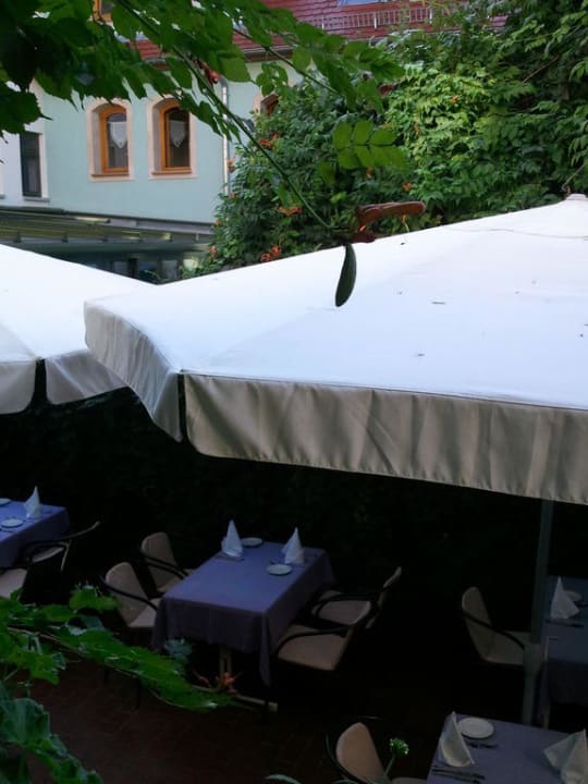 Innenhof des Hotels Hotel Unstruttal