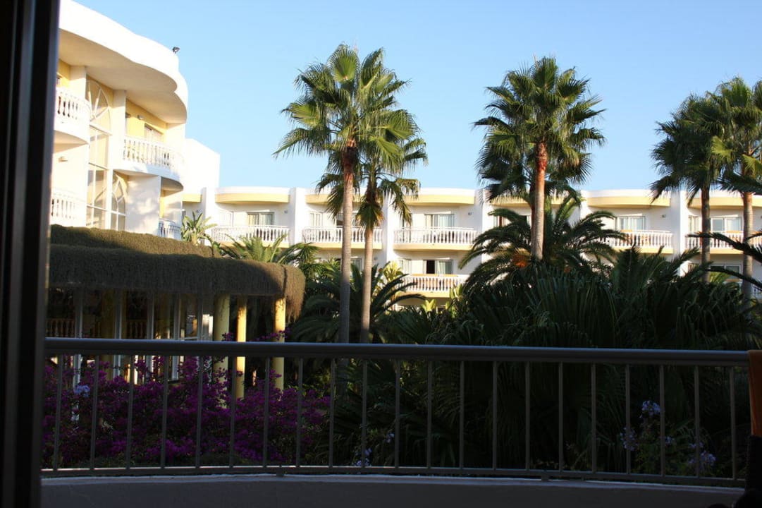 Blick aus Zimmer 4105 Iberostar Selection Albufera Park