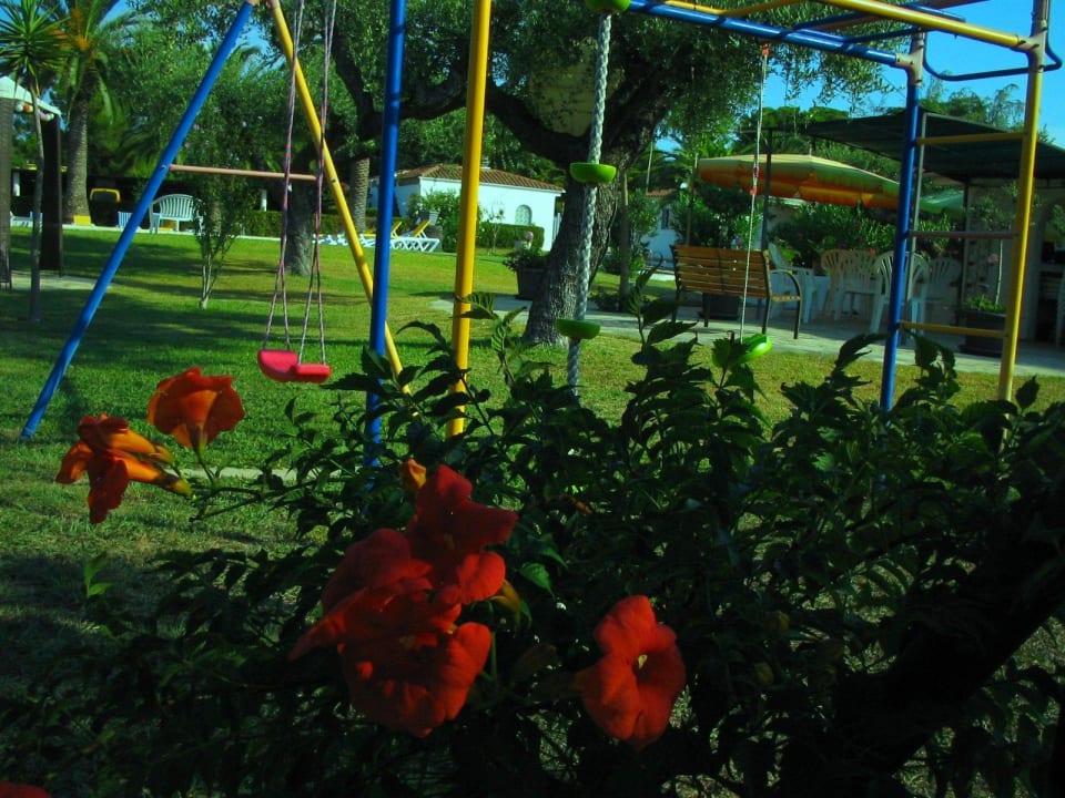 Schaukel & Klettergerüst Bungalow Park Colibri