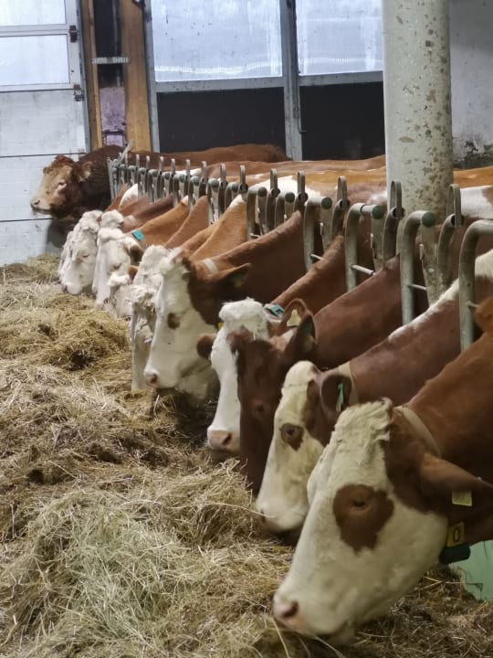 Sonstiges Bauernhof Vorderoberlehen