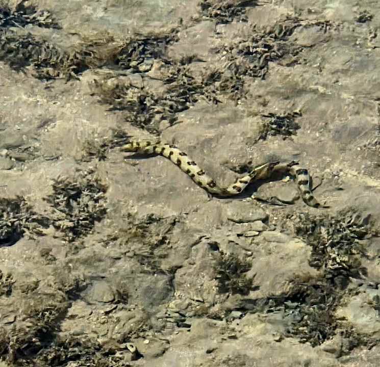 Sonstiges Grand Waterworld Makadi & Family Star Makadi