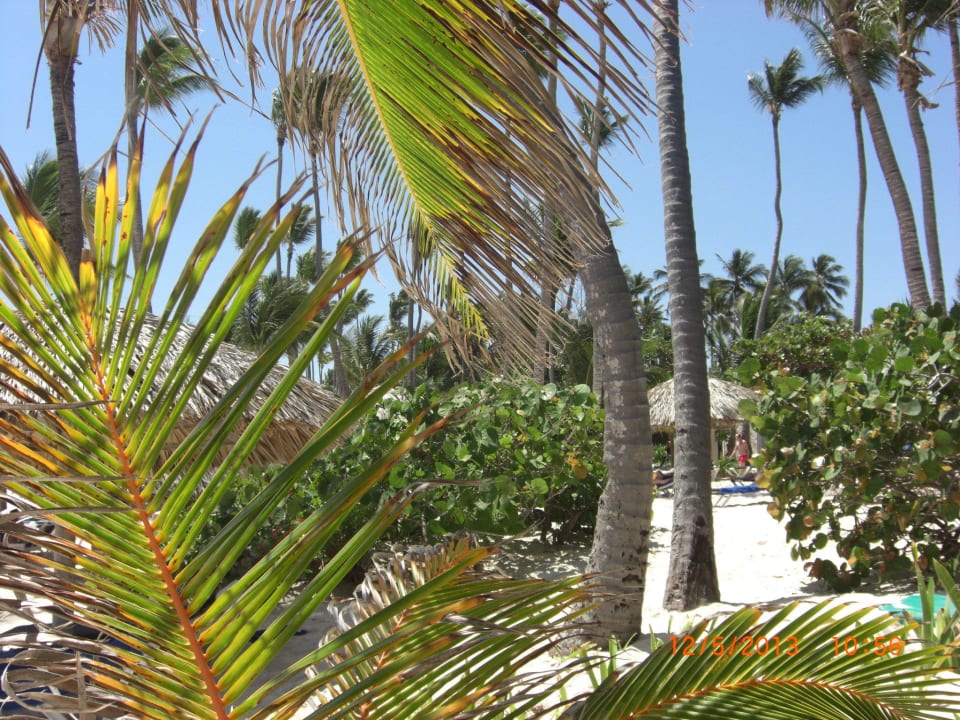 Strand Grand Palladium Select Bávaro Resort & Spa