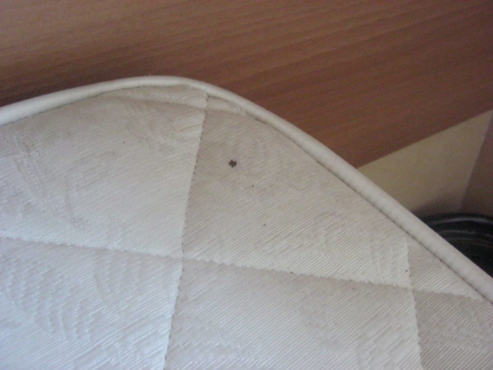 Flecken bei Ankuft Belvedere Pineta Camping Village