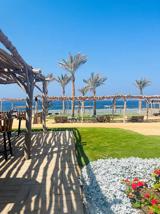Gastro Steigenberger Resort Alaya Marsa Alam - Red Sea - Adults only