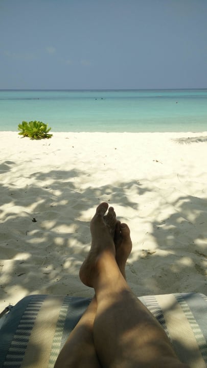Relaxen Summer Island Maldives