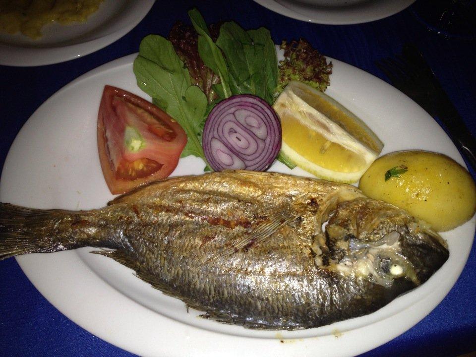 Pesce all'egean Club Resort Atlantis