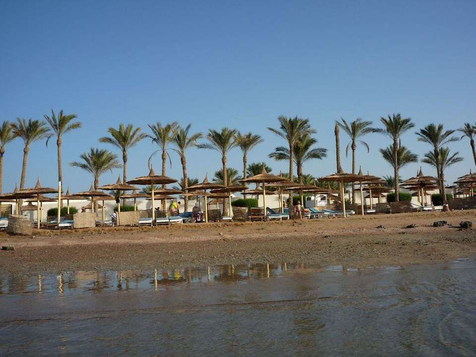 Strand Pickalbatros Alf Leila Wa Leila Resort - Neverland Hurghada