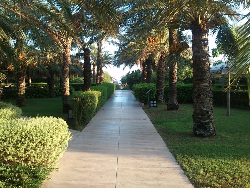 Der Weg zum schönen Sandstrand Royal Wings Hotel