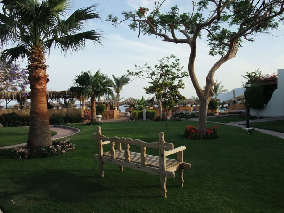 Gartenanlage - Weg zum Strand Swiss Inn Resort Dahab