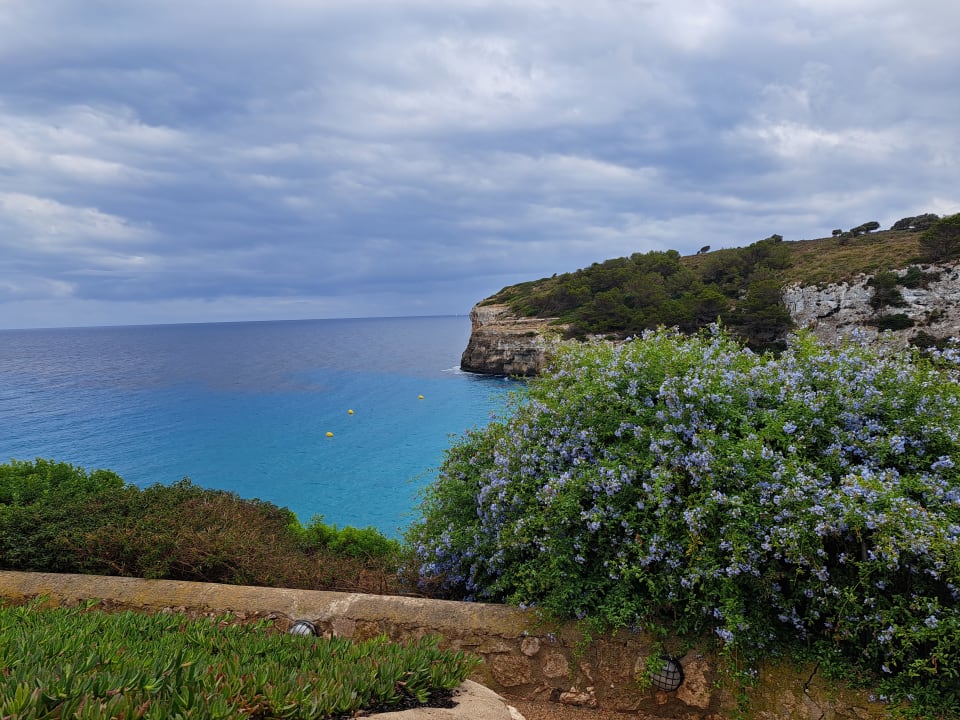 Pool blau punta reina