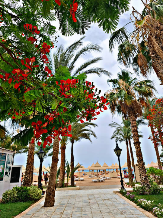 Gartenanlage The Grand Hotel Hurghada