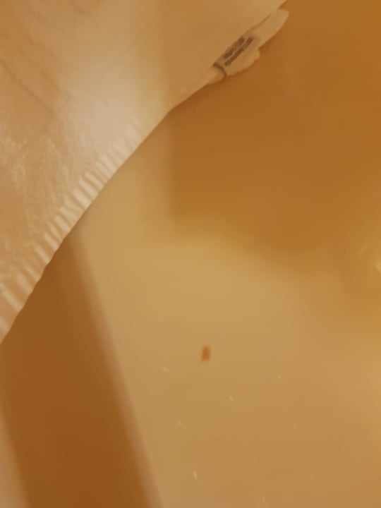 Zimmer Sunny Baška Hotel by Valamar (Corinthia)