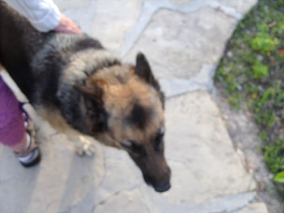 Mex Özlem Garden Hotel