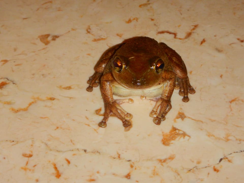 In der Lobby  Sol Rio De Luna y Mares