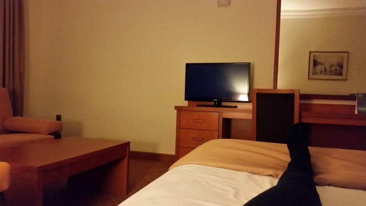 Zimmer Copthorne Airport Hotel