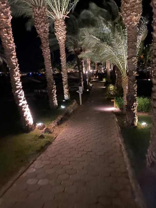 Gartenanlage Fort Arabesque Resort, Spa & Villas