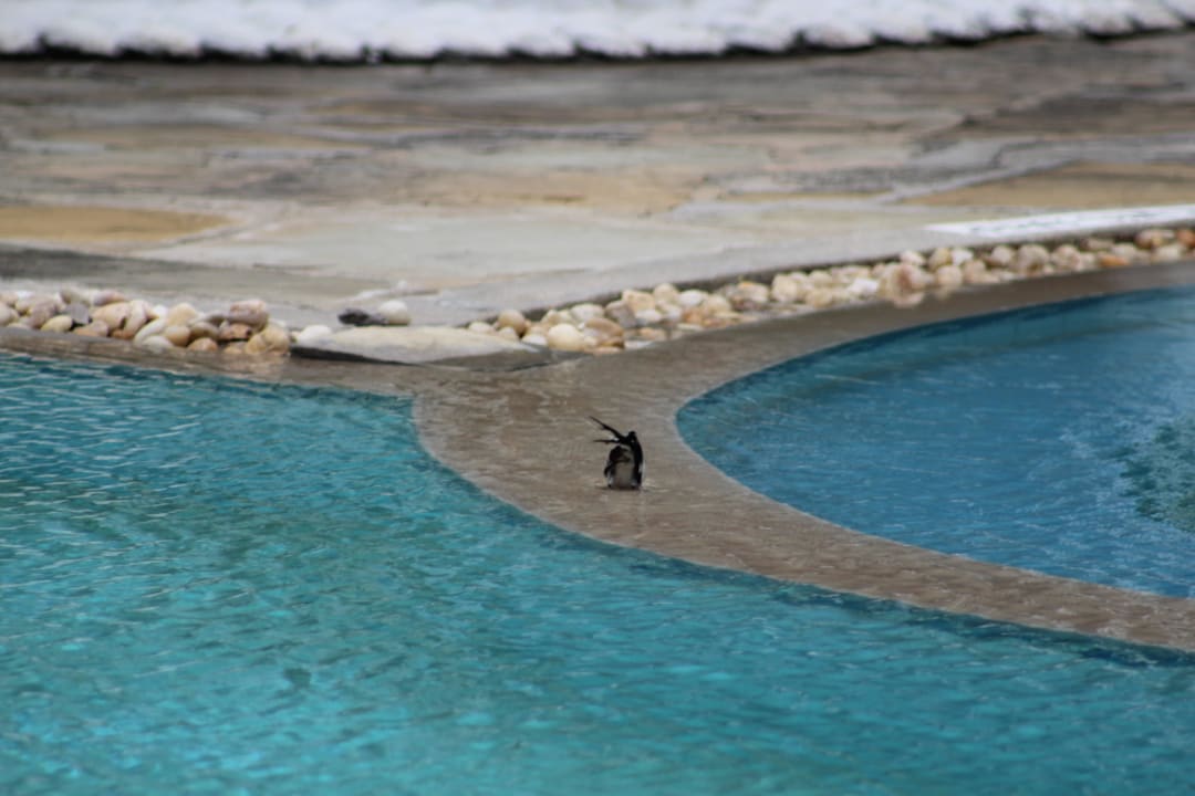 Ich dusche Hotel Southern Palms Beach Resort